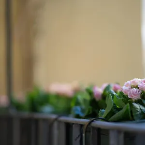 Pgrhome Croce , Rome Italy